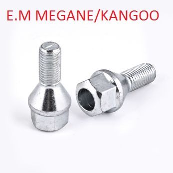 BİJON MGN/CLIO E.M (19 A) 