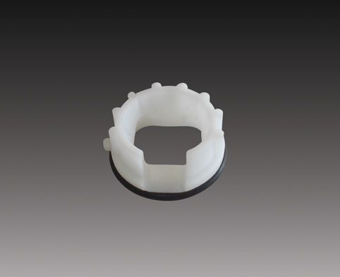 PALIO VİTES YUVASI (CONTALI)